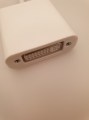 Adaptateur Mini Display Port  Mâle / DVI  Femelle